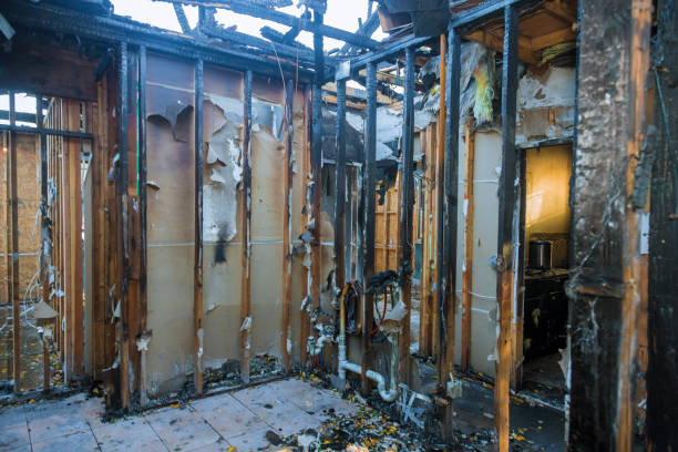 Professional Fire Damage Removal technician working in Paris, AR